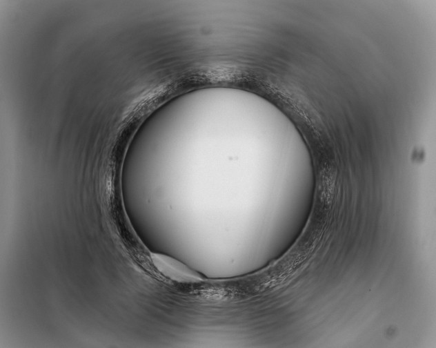 X0000097990740200804071151