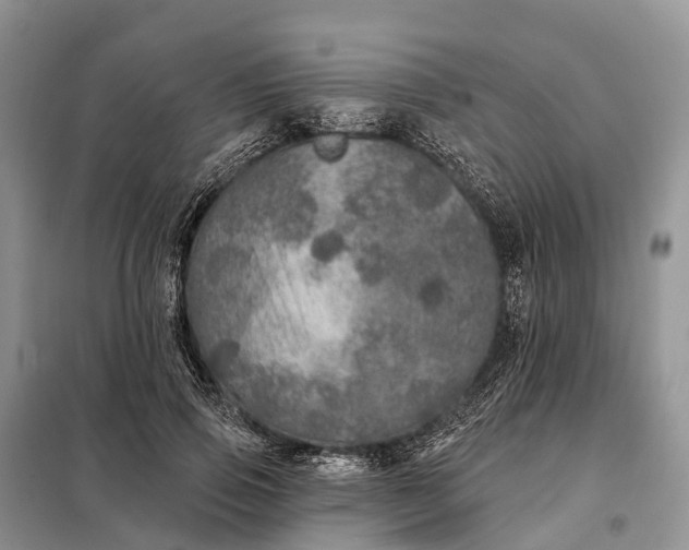 X0000097990741200804071151