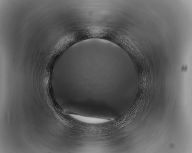 X0000097990742200804071151