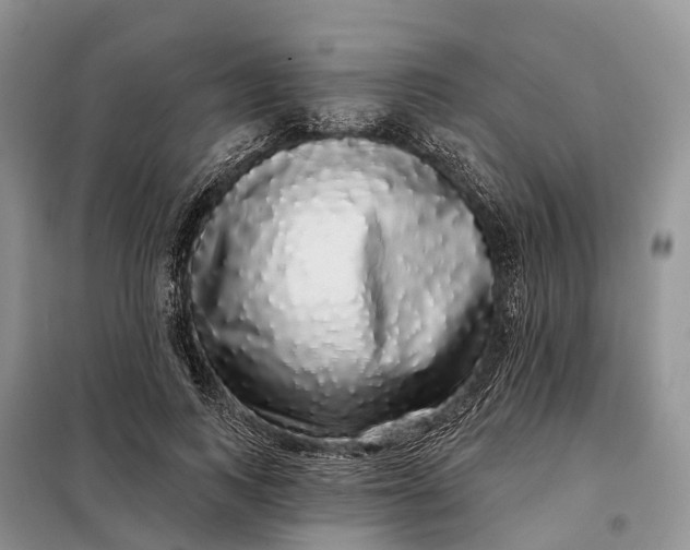 X0000097990743200804071151