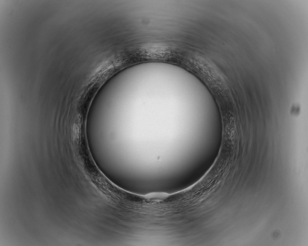 X0000097990744200804071151