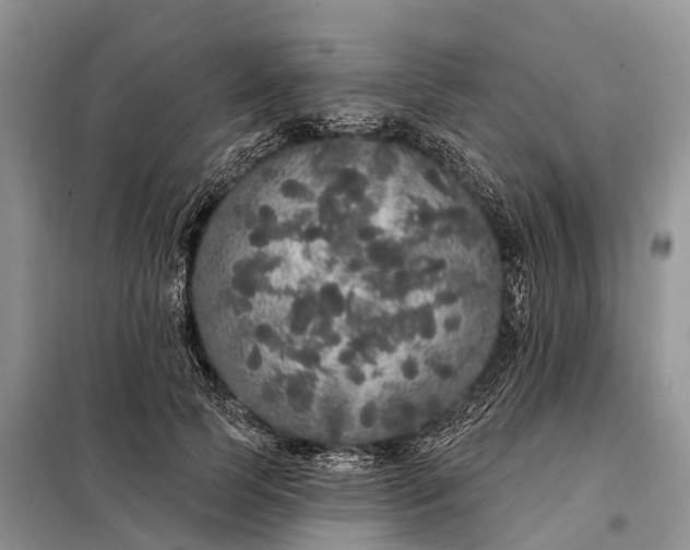 X0000097990745200804071151