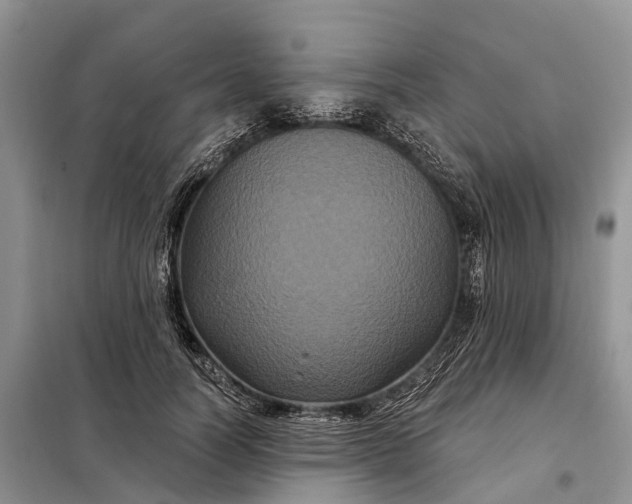 X0000097990746200804071151