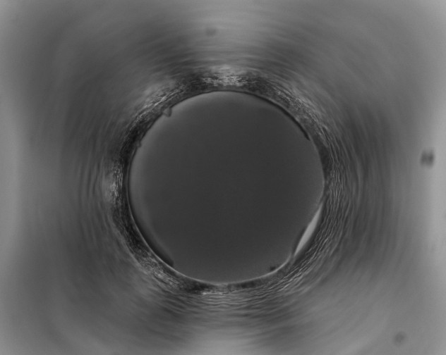 X0000097990747200804071151