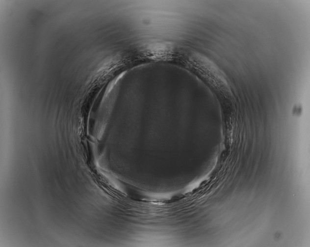 X0000097990748200804071151