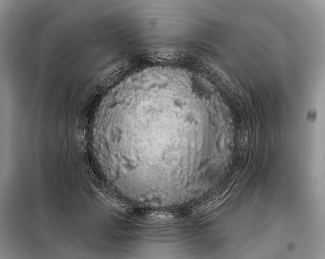 X0000097990749200804071151