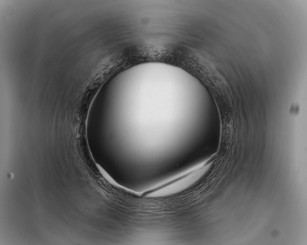 X0000097990750200804071151