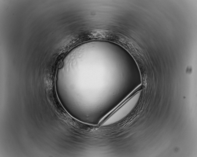 X0000097990751200804071151