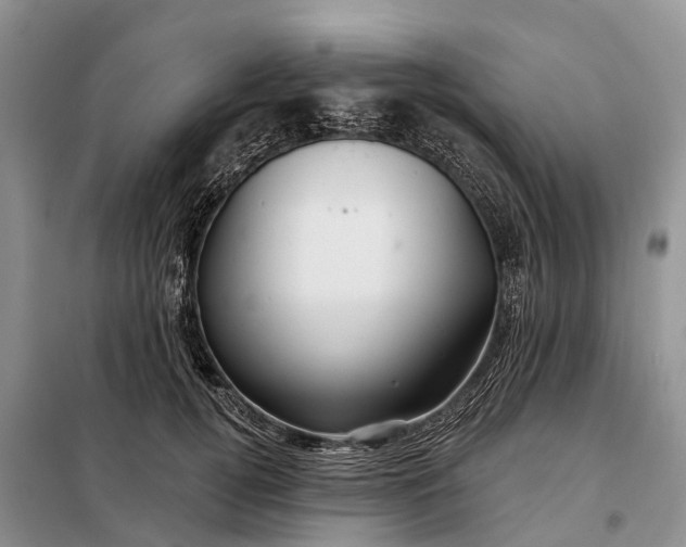 X0000097990752200804071151