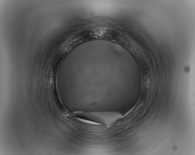 X0000097990754200804071151
