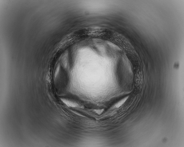 X0000097990755200804071151