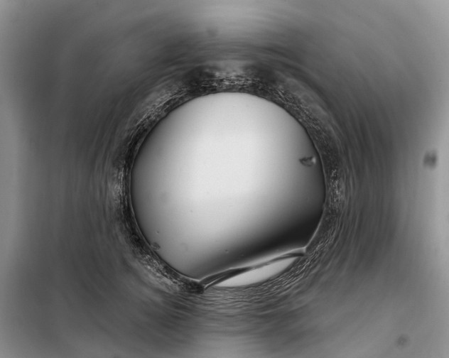 X0000097990756200804071151