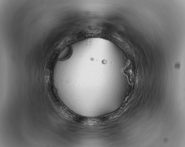 X0000097990758200804071151