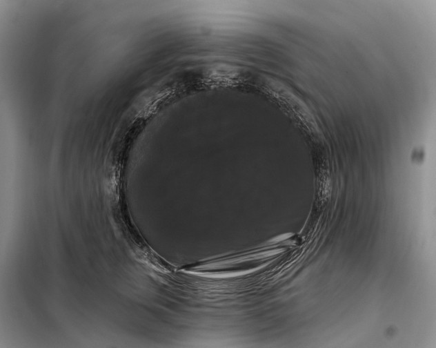 X0000097990759200804071151