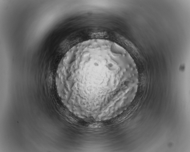 X0000097990761200804071151
