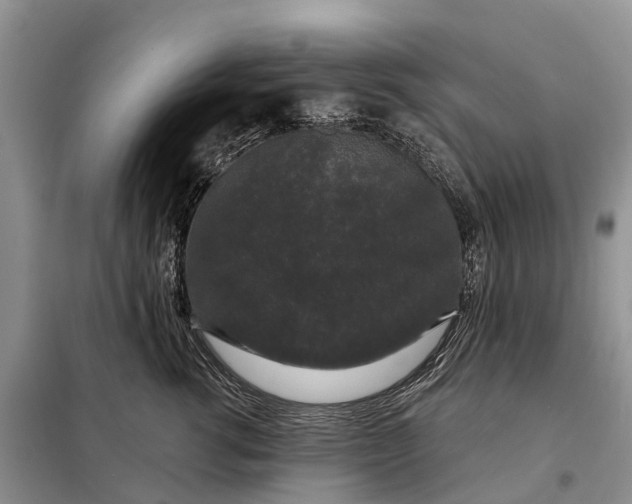 X0000097990762200804071151