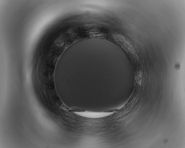 X0000097990763200804071151
