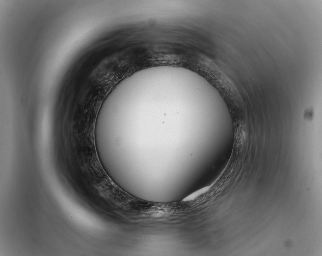 X0000097990764200804071151