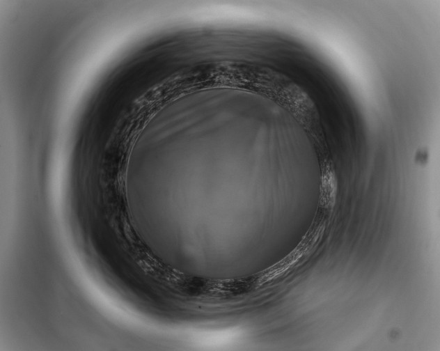 X0000097990765200804071151