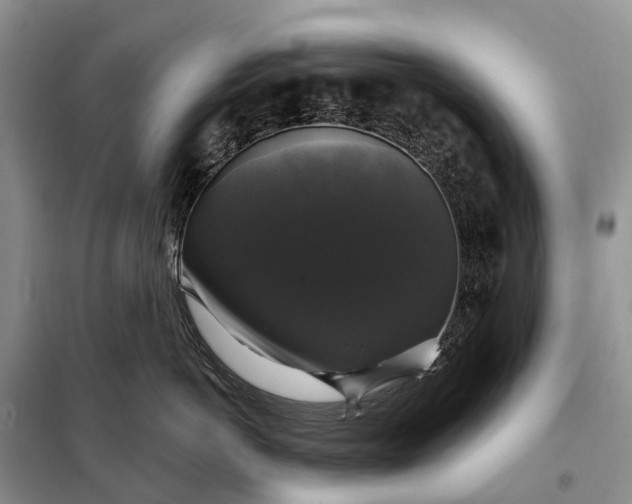 X0000097990766200804071151