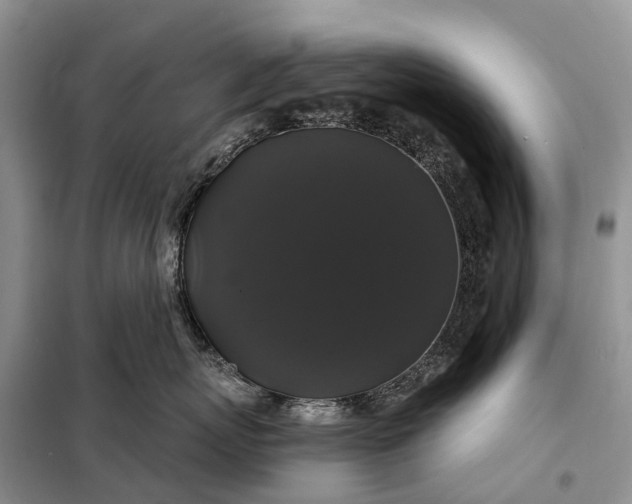 X0000097990767200804071151