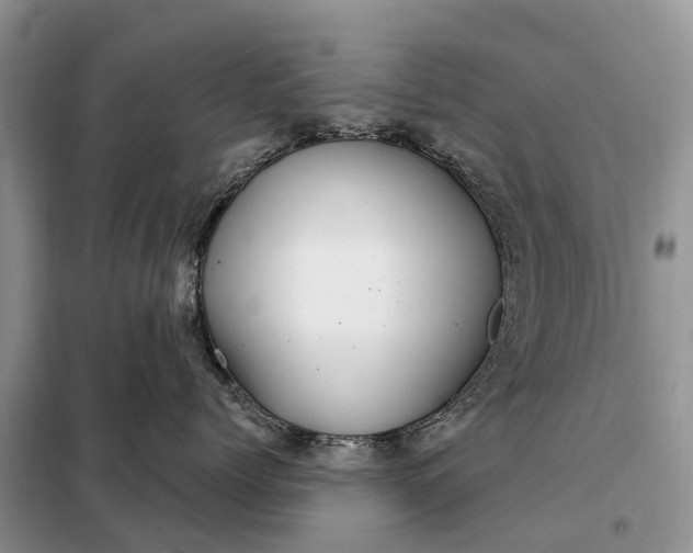 X0000097990768200804071151