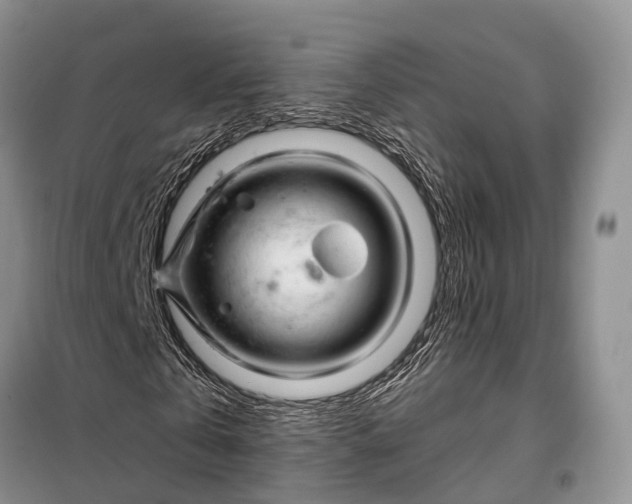 X0000097990769200804071150