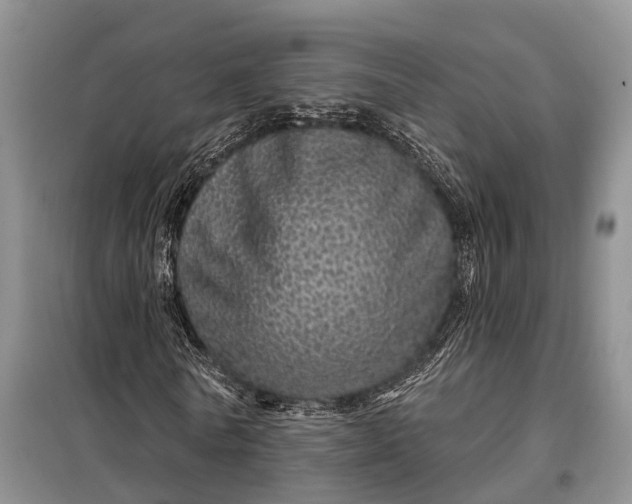 X0000097990770200804071150