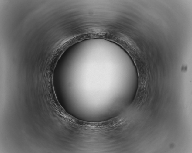 X0000097990773200804071150