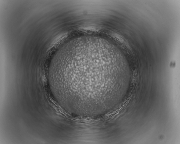 X0000097990774200804071150