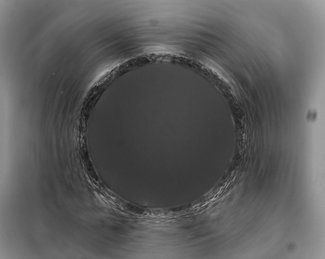 X0000097990775200804071150