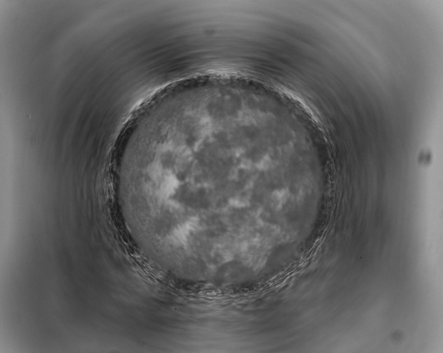 X0000097990776200804071150