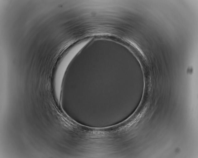 X0000097990777200804071150