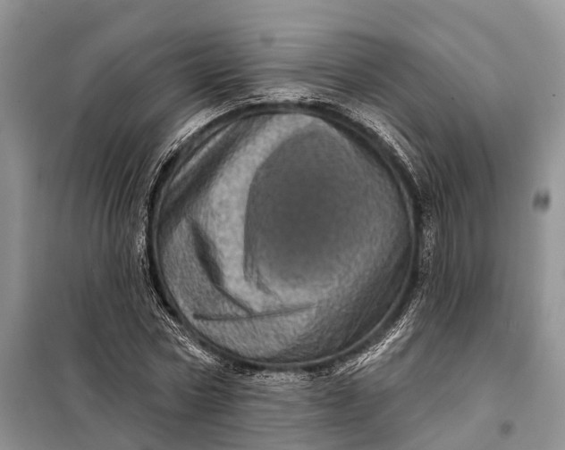 X0000097990778200804071150