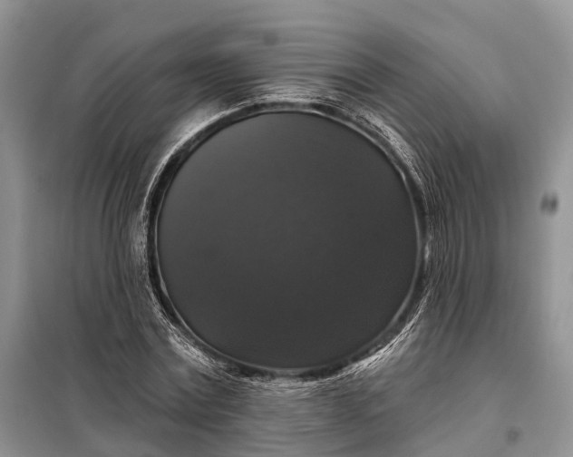X0000097990779200804071150