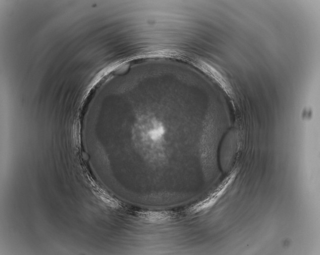 X0000097990781200804071150