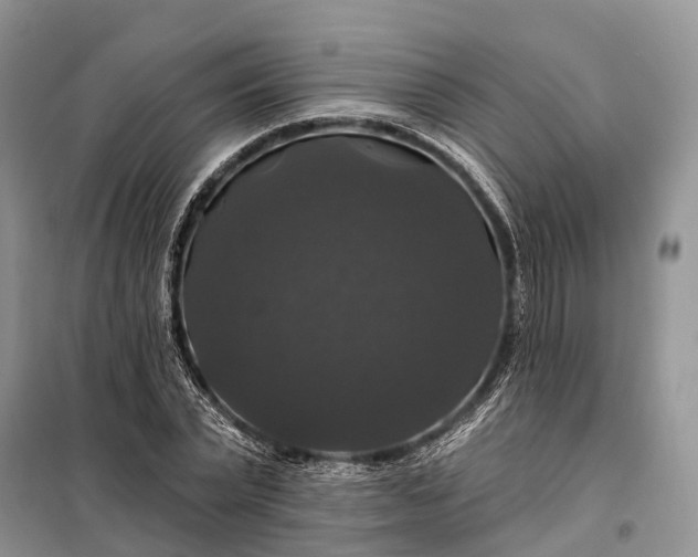 X0000097990783200804071150