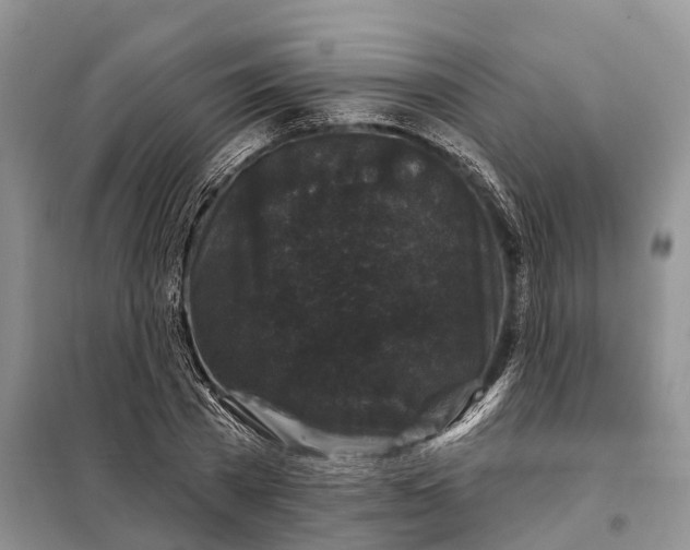 X0000097990785200804071150