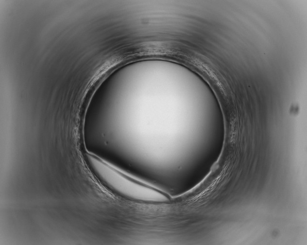 X0000097990786200804071150