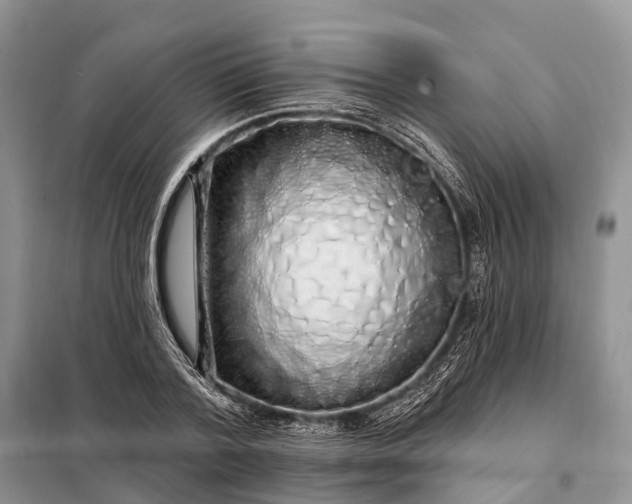 X0000097990788200804071150