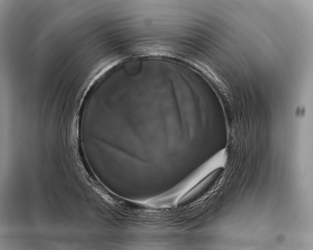 X0000097990790200804071150