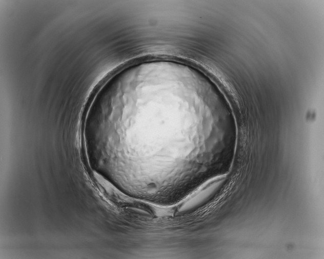 X0000097990791200804071150