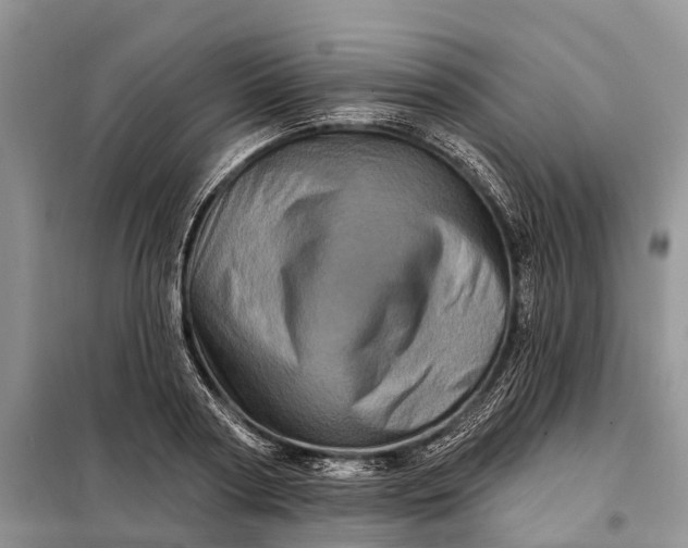 X0000097990794200804071150
