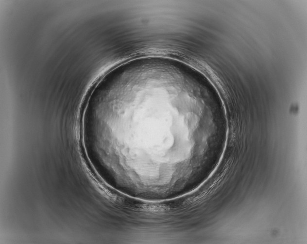 X0000097990795200804071150