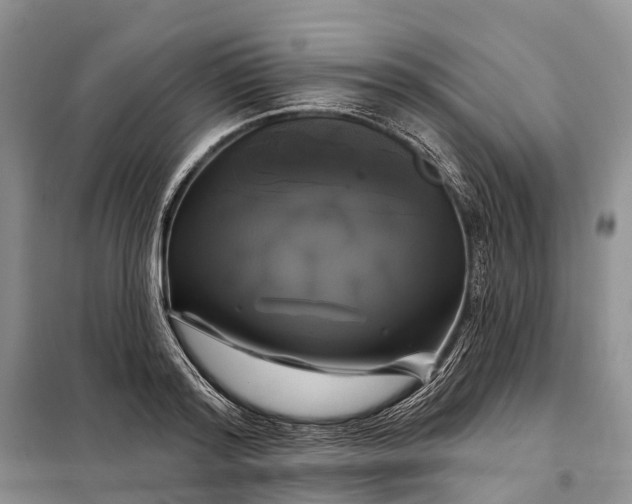 X0000097990796200804071150