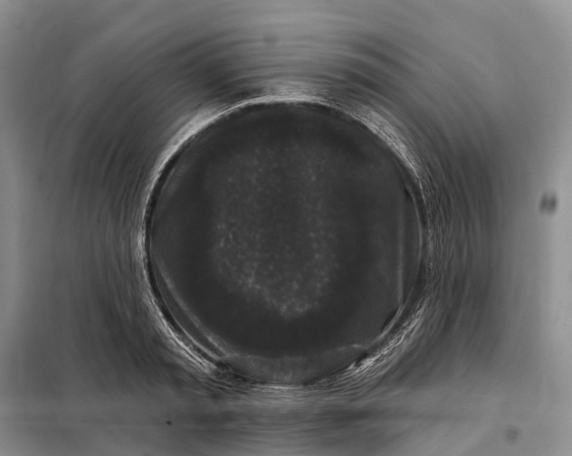 X0000097990797200804071150