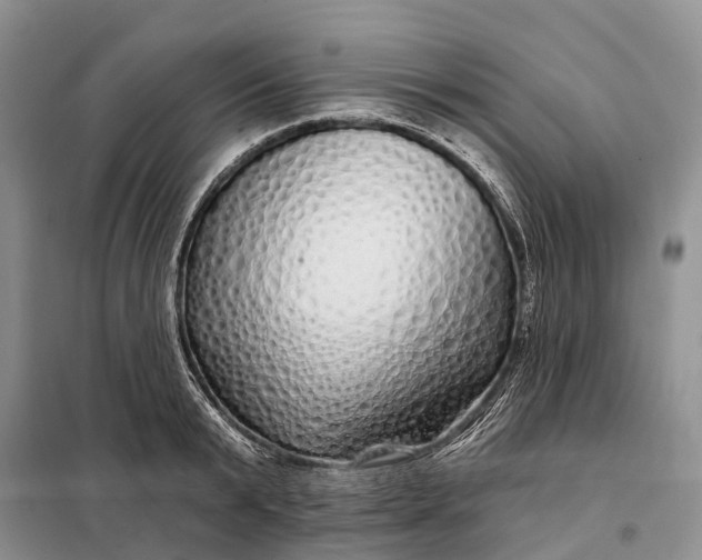 X0000097990799200804071150
