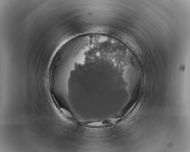 X0000097990800200804071150