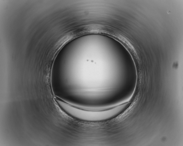 X0000097990801200804071150