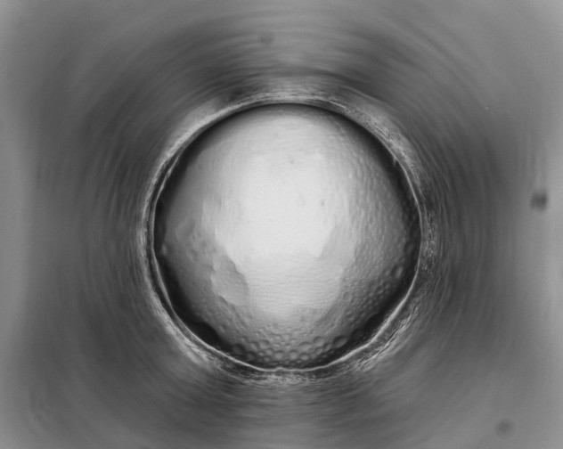 X0000097990803200804071150
